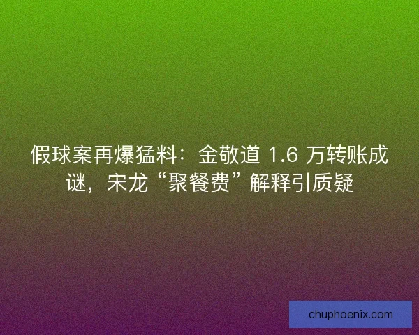 假球案再爆猛料：金敬道 1.6 万转账成谜，宋龙 “聚餐费” 解释引质疑
