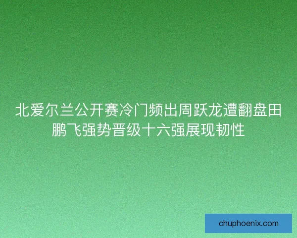 北爱尔兰公开赛冷门频出周跃龙遭翻盘田鹏飞强势晋级十六强展现韧性
