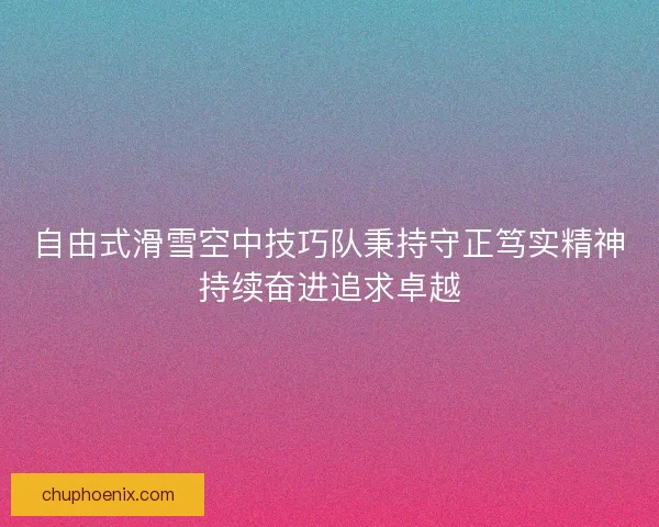 自由式滑雪空中技巧队秉持守正笃实精神持续奋进追求卓越