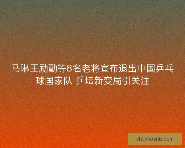 马琳王励勤等8名老将宣布退出中国乒乓球国家队 乒坛新变局引关注