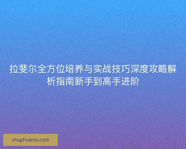 拉斐尔全方位培养与实战技巧深度攻略解析指南新手到高手进阶 拉斐尔全方位培养与实战技巧深度攻略解析指南新手到高手进阶